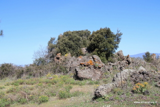 nte Egitto-29-04-2023 08-48-40